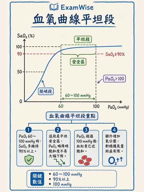 呼吸治療師 - 氣體擴散、交換與肺部代謝 - AI 圖文解析預覽