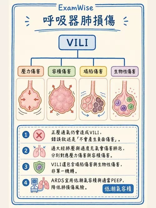 呼吸治療師 - 通氣、呼吸力學與控制 - AI 圖文解析預覽