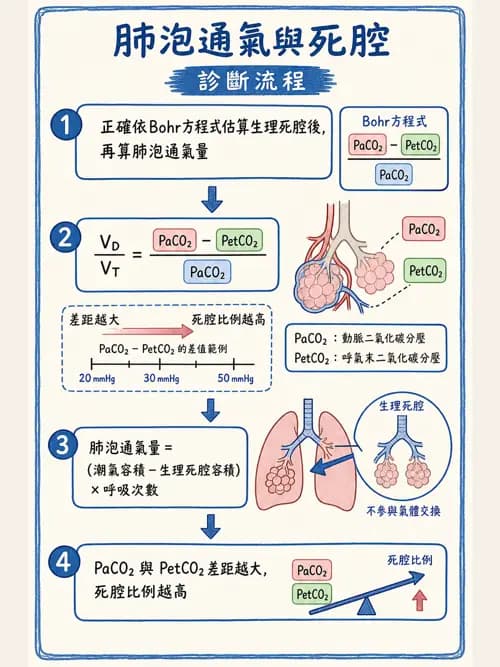 呼吸治療師 - 通氣、呼吸力學與控制 - AI 圖文解析預覽