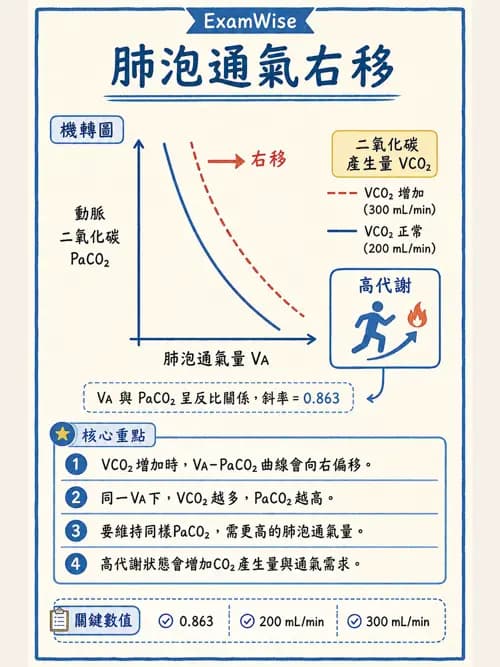 呼吸治療師 - 通氣、呼吸力學與控制 - AI 圖文解析預覽