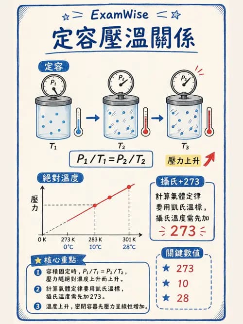 呼吸治療師 - 通氣、呼吸力學與控制 - AI 圖文解析預覽