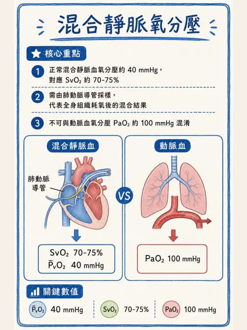 呼吸治療師 - 氣體擴散、交換與肺部代謝 - AI 圖文解析預覽