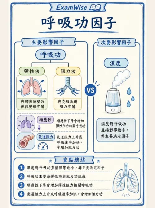 呼吸治療師 - 通氣、呼吸力學與控制 - AI 圖文解析預覽