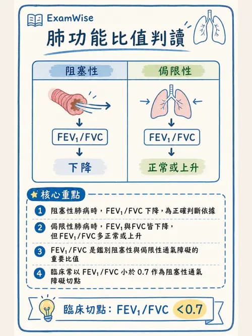 呼吸治療師 - 通氣、呼吸力學與控制 - AI 圖文解析預覽
