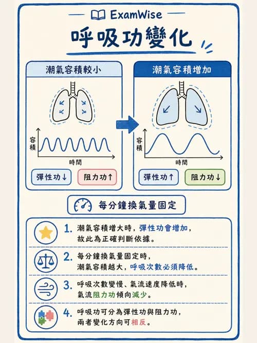 呼吸治療師 - 通氣、呼吸力學與控制 - AI 圖文解析預覽