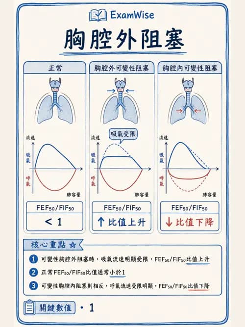 呼吸治療師 - 通氣、呼吸力學與控制 - AI 圖文解析預覽