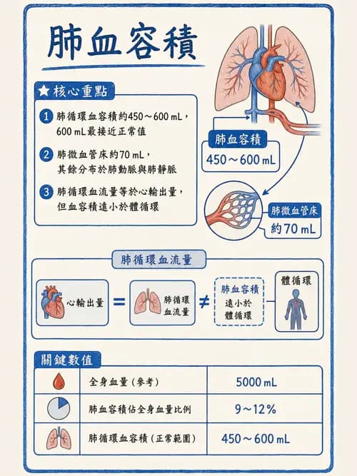 呼吸治療師 - 氣體擴散、交換與肺部代謝 - AI 圖文解析預覽