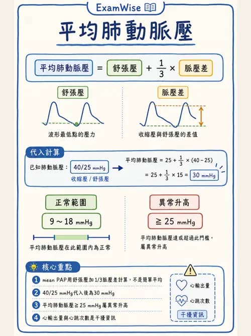 呼吸治療師 - 心臟生理與血液動力學 - AI 圖文解析預覽