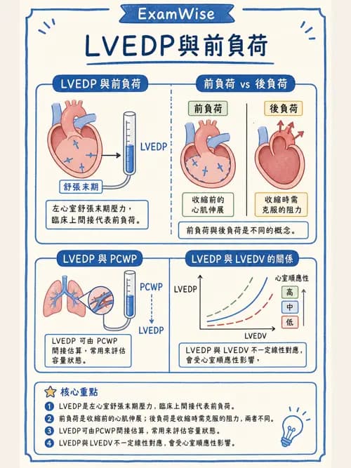 呼吸治療師 - 心臟生理與血液動力學 - AI 圖文解析預覽
