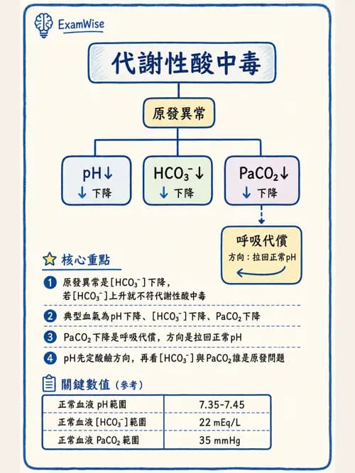 呼吸治療師 - 酸鹼平衡與腎臟生理 - AI 圖文解析預覽