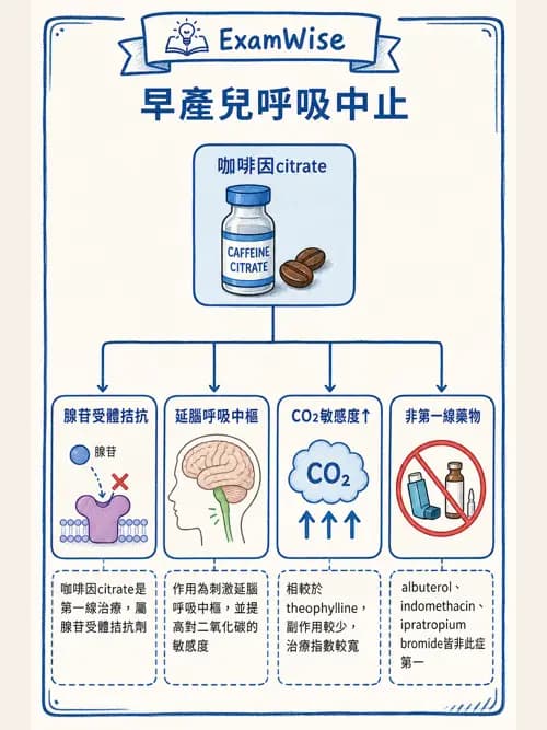 呼吸治療師 - 呼吸系統藥物 - AI 圖文解析預覽