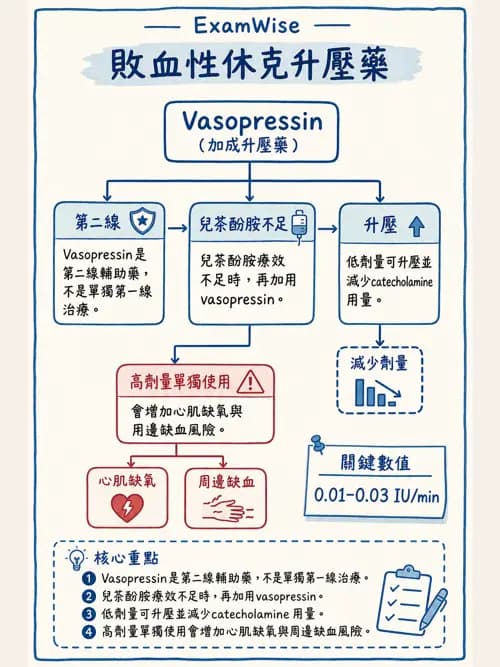 呼吸治療師 - 心臟血管藥物 - AI 圖文解析預覽