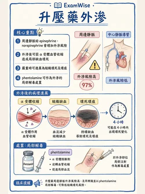 呼吸治療師 - 心臟血管藥物 - AI 圖文解析預覽