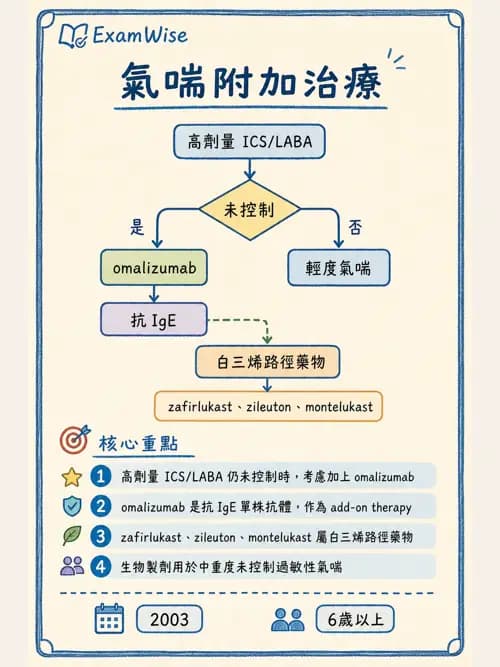 呼吸治療師 - 呼吸系統藥物 - AI 圖文解析預覽