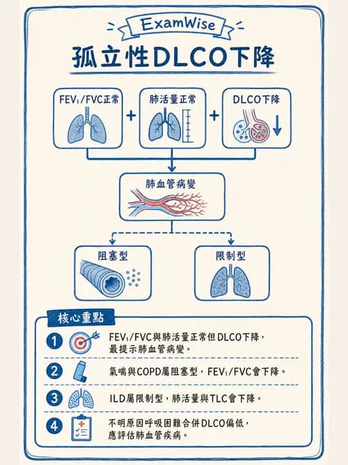 呼吸治療師 - 呼吸功能檢查 - AI 圖文解析預覽