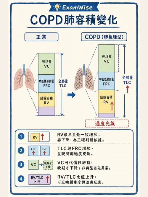 呼吸治療師 - 呼吸功能檢查 - AI 圖文解析預覽