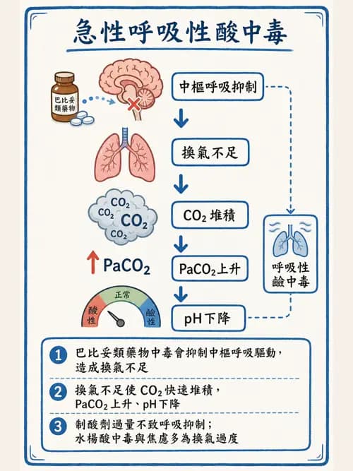呼吸治療師 - 動脈血液氣體分析與氧合評估 - AI 圖文解析預覽
