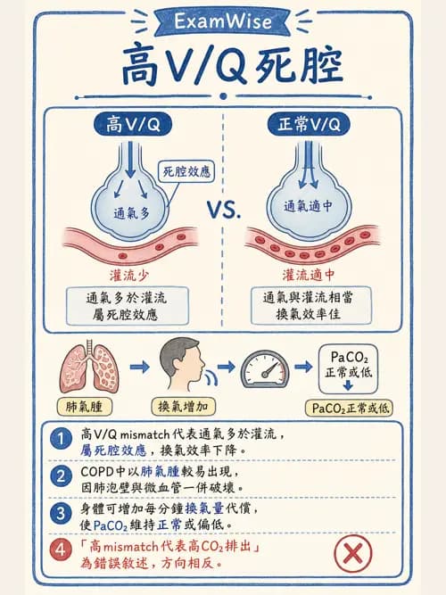 呼吸治療師 - 動脈血液氣體分析與氧合評估 - AI 圖文解析預覽