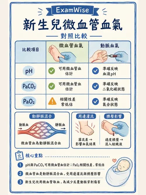 呼吸治療師 - 動脈血液氣體分析與氧合評估 - AI 圖文解析預覽