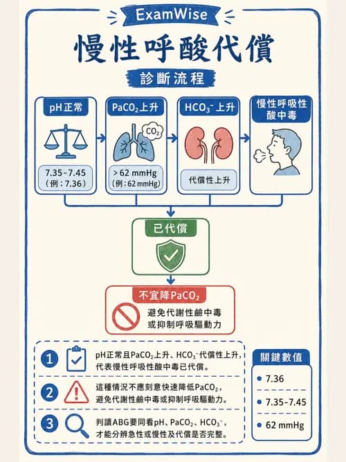 呼吸治療師 - 動脈血液氣體分析與氧合評估 - AI 圖文解析預覽