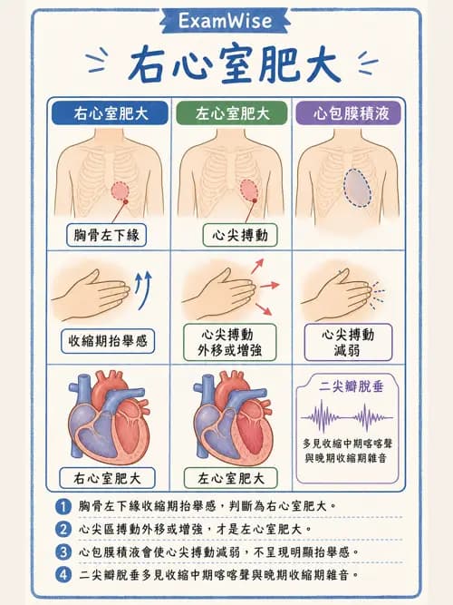 呼吸治療師 - 心血管評估與實驗室檢查 - AI 圖文解析預覽