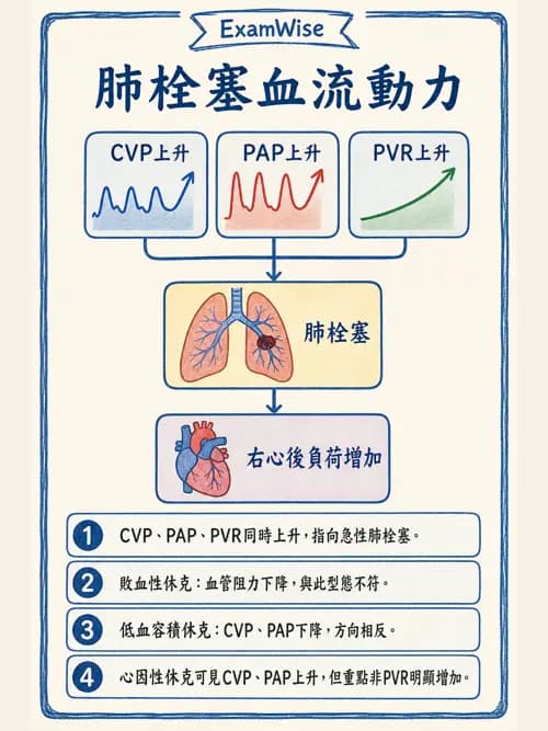呼吸治療師 - 心血管評估與實驗室檢查 - AI 圖文解析預覽