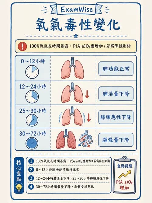 呼吸治療師 - 氣體輸送系統與氧氣治療 - AI 圖文解析預覽
