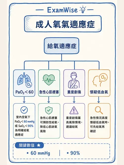 呼吸治療師 - 氣體輸送系統與氧氣治療 - AI 圖文解析預覽