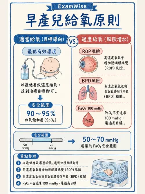 呼吸治療師 - 氣體輸送系統與氧氣治療 - AI 圖文解析預覽