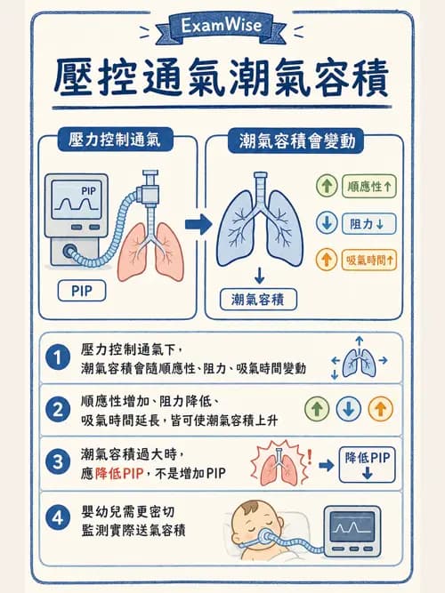 呼吸治療師 - 長期呼吸照護 - AI 圖文解析預覽