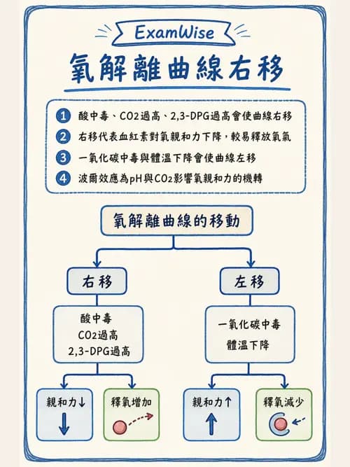 呼吸治療師 - 動脈血液氣體分析與氧合評估 - AI 圖文解析預覽