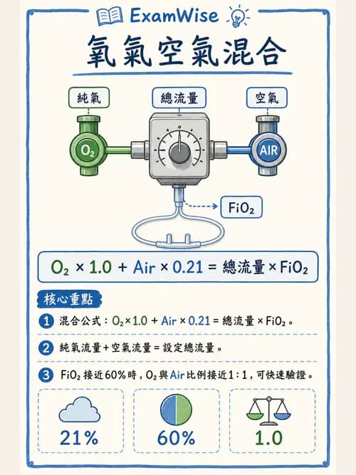 呼吸治療師 - 氣體輸送系統與氧氣治療 - AI 圖文解析預覽