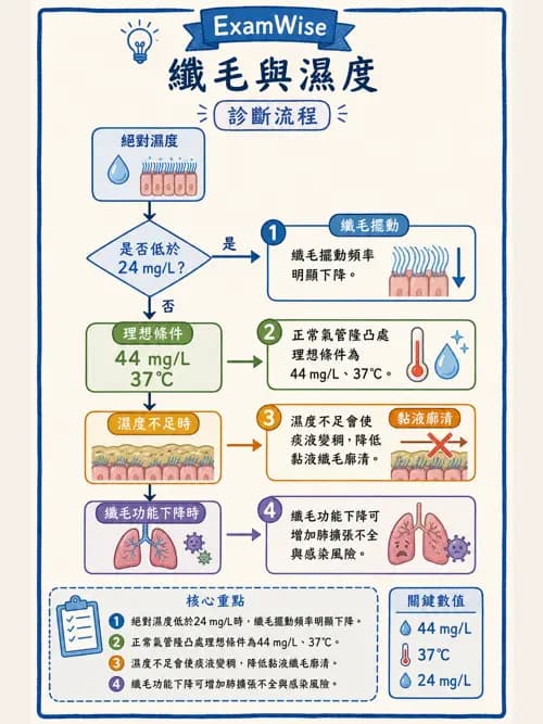 呼吸治療師 - 濕氣與霧氣治療 - AI 圖文解析預覽