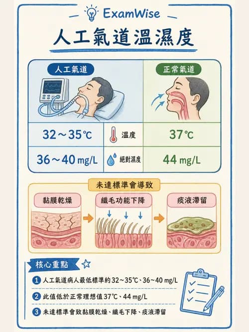 呼吸治療師 - 濕氣與霧氣治療 - AI 圖文解析預覽