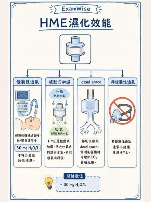 呼吸治療師 - 濕氣與霧氣治療 - AI 圖文解析預覽