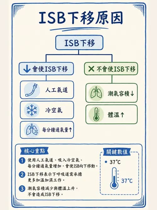 呼吸治療師 - 濕氣與霧氣治療 - AI 圖文解析預覽