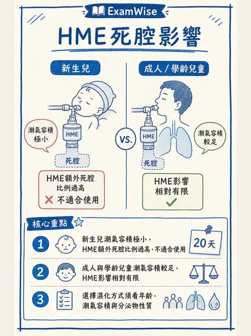 呼吸治療師 - 濕氣與霧氣治療 - AI 圖文解析預覽