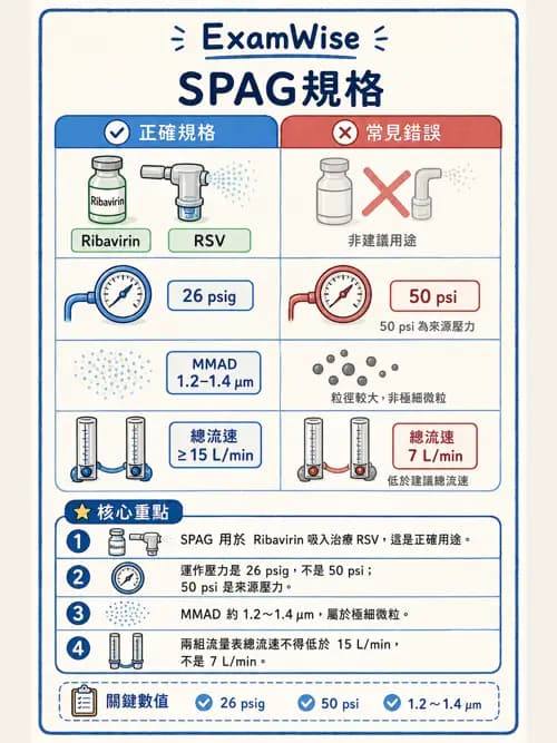 呼吸治療師 - 濕氣與霧氣治療 - AI 圖文解析預覽