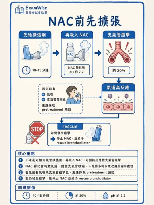 呼吸治療師 - 濕氣與霧氣治療 - AI 圖文解析預覽