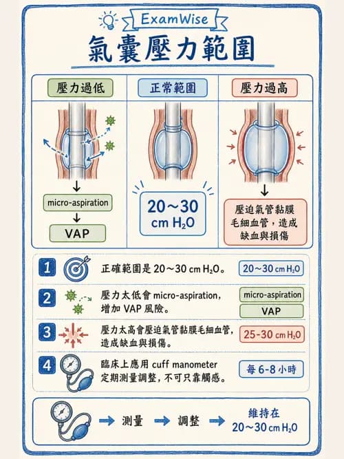 呼吸治療師 - 人工氣道處置 - AI 圖文解析預覽