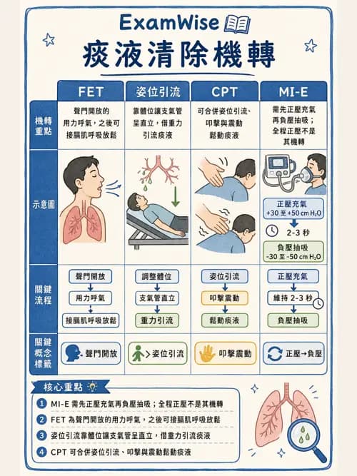 呼吸治療師 - 痰液清除與擴張治療 - AI 圖文解析預覽