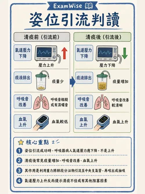 呼吸治療師 - 痰液清除與擴張治療 - AI 圖文解析預覽