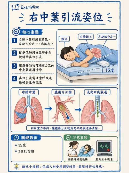 呼吸治療師 - 痰液清除與擴張治療 - AI 圖文解析預覽