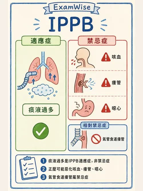 呼吸治療師 - 痰液清除與擴張治療 - AI 圖文解析預覽