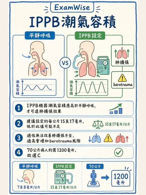呼吸治療師 - 痰液清除與擴張治療 - AI 圖文解析預覽