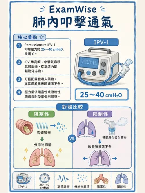 呼吸治療師 - 痰液清除與擴張治療 - AI 圖文解析預覽