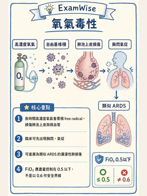 呼吸治療師 - 氣體輸送系統與氧氣治療 - AI 圖文解析預覽