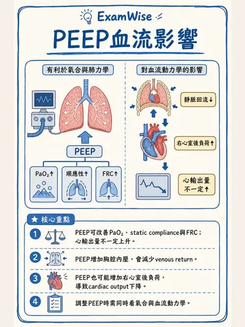 呼吸治療師 - 長期呼吸照護 - AI 圖文解析預覽