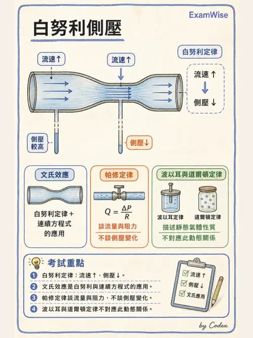 呼吸治療師 - 氣體物理學 - AI 圖文解析預覽