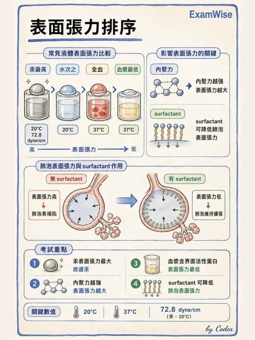 呼吸治療師 - 氣體物理學 - AI 圖文解析預覽